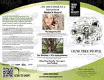 Oliveda Tree Brochures